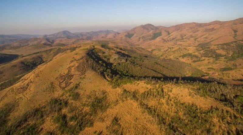 View of the Nilgiri Hills with timber plantations on the right hill slope. CREDIT: Prasenjeet Yadav