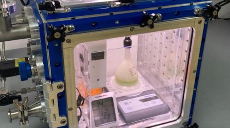 Bioplastic habitat inside the planetary environment chamber. CREDIT: Wordsworth Group / Harvard SEAS