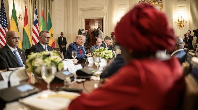 President Donald Trump hosts a multilateral luncheon with African leaders, Wednesday, July 9, 2025, in the State Dining Room. (Official White House Photo by Daniel Torok)