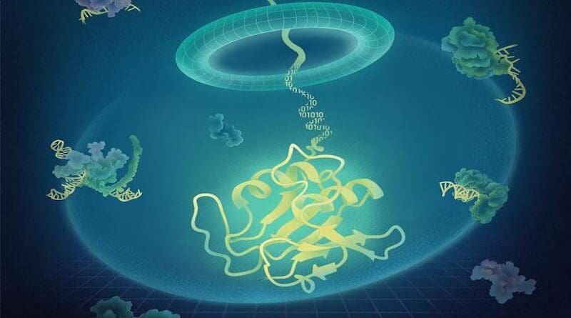 Advancing protein evolution with inverse folding models integrating structural and evolutionary constraints CREDIT: IGDB