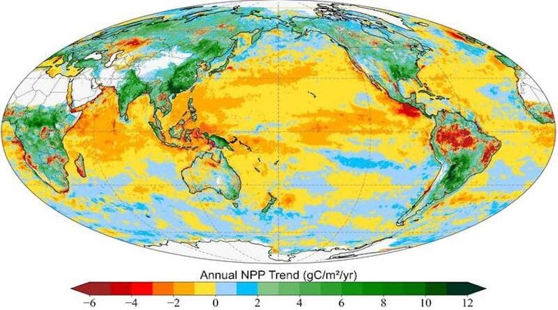 The image above illustrates the annual trend in global net primary production (NPP) — or net carbon gain by photosynthetic organisms on Earth — from 2003 to 2021. Image courtesy of Yulong Zhang, et al, 2025