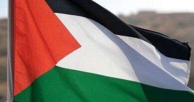 palestinian palestine flag grok