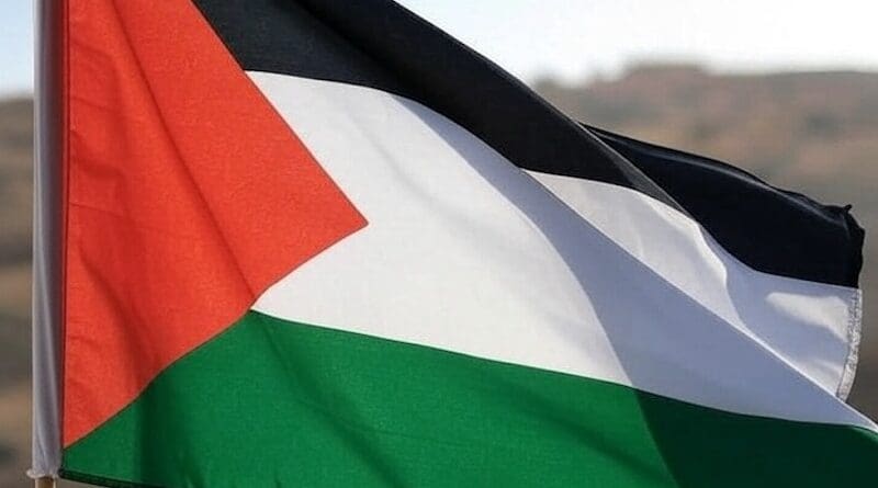 palestinian palestine flag grok