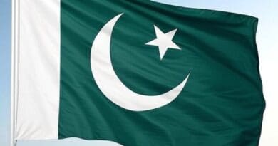 pakistan flag grok