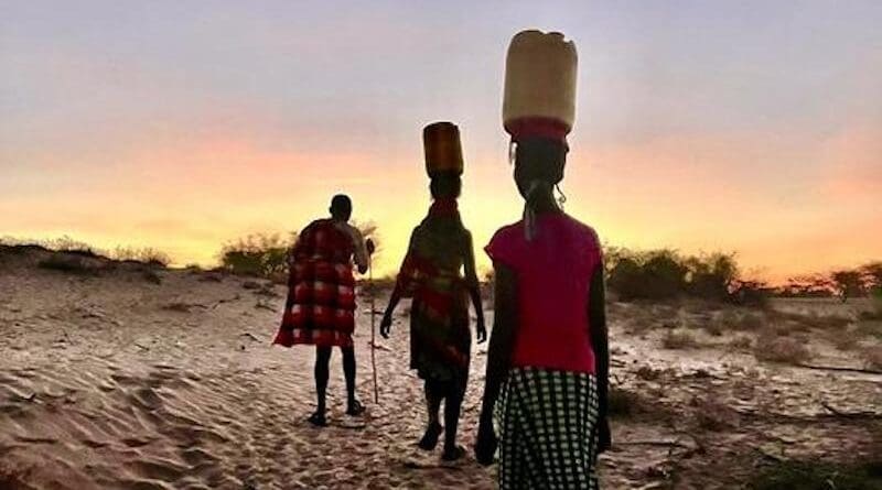 Members of Kenya's Turkana community often walk miles each day in scorching heat to collect water for their animals and personal consumption. CREDIT: Sebastian Michel Mata