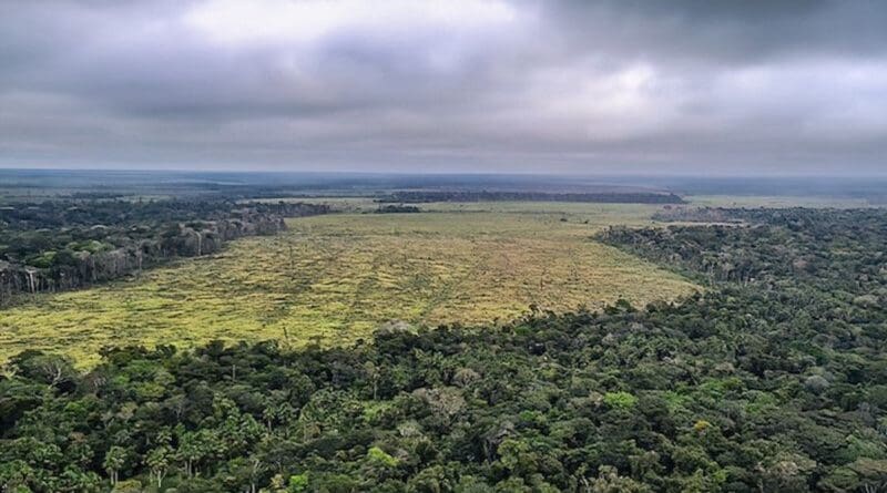 Deforestation in Brazil's Amazon. Photo Credit: POLÍCIA FEDERAL/DIVULGAÇÃO