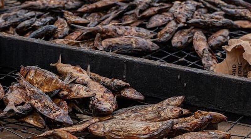 Smoked sardinella in Accra, Ghana CREDIT: Dr James Robinson