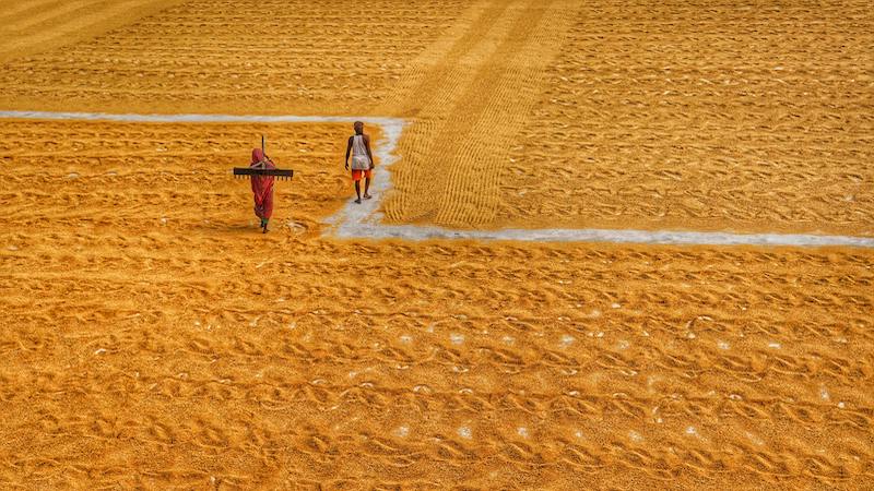 Sorry! Image not available at this time