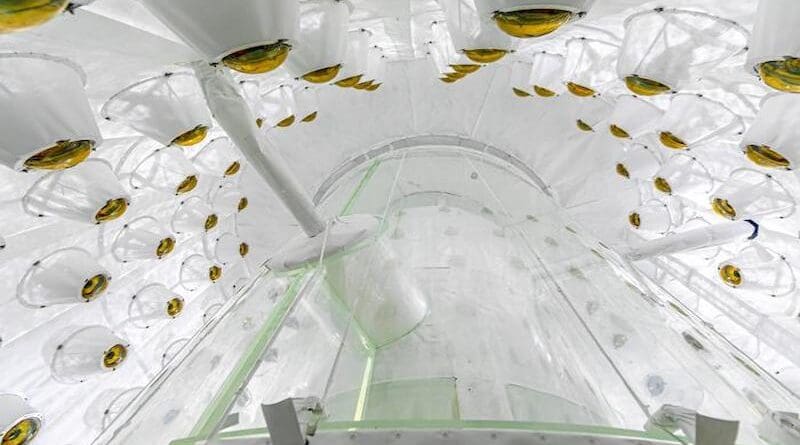The outer detector of the LZ dark matter experiment CREDIT: Matt Kapust/Sanford Underground Research Laboratory