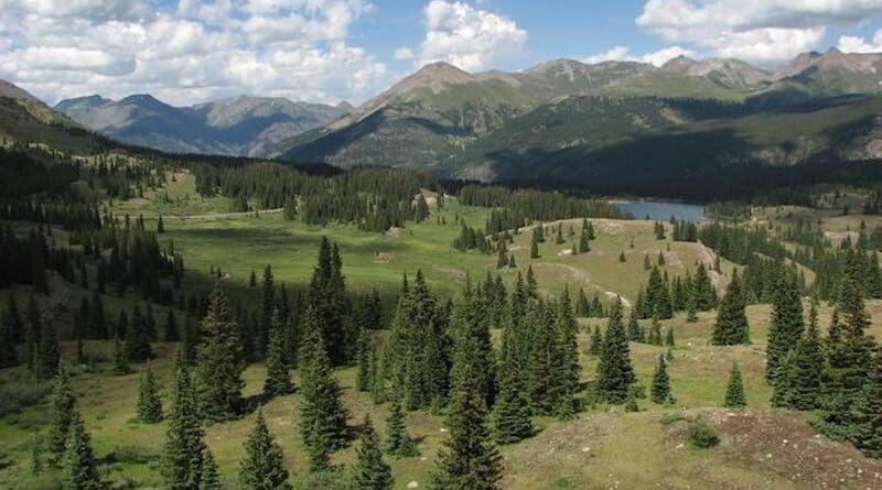 Colorado meadow used for Keith Sockman's 20 year study. CREDIT: Keith Sockman (UNC-Chapel Hill)
