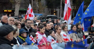File photo of protest in Tbilisi, Georgia. Photo Credit: Jelger Groeneveld, Wikipedia Commons