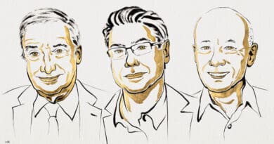 Nobel Prize in Economic Sciences: Joel Mokyr, Philippe Aghion, and Peter Howitt. Credit: Illustrator Niklas Elmehed © Nobel Prize Outreach