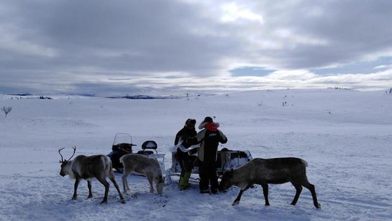 Sorry! Image not available at this time