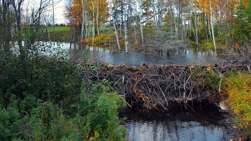 Sorry! Image not available at this time