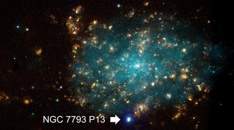 The image that combines data from X-ray, optical, and Hα line observations. NGC 7793 P13 is located away from the galactic center of NGC 7793. CREDIT X-ray（NASA/CXC/Univ of Strasbourg/M.Pakull et al）； Optical（ESO/VLT/Univ of Strasbourg/M.Pakull et al）；H-alpha（NOAO/AURA/NSF/CTIO 1.5m）