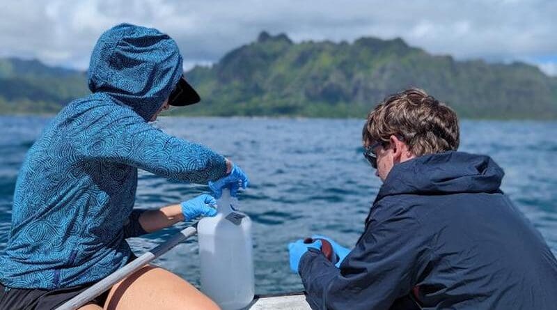 Researchers sample surface seawater as a part of the Kāneʻohe Time-series. CREDIT: Kelle Freel, HIMB/ SOEST/ UH Manoa