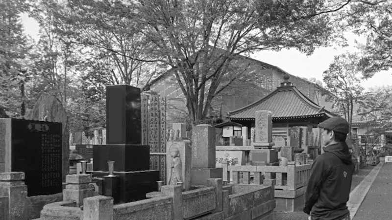 Sorry! Image not available at this time