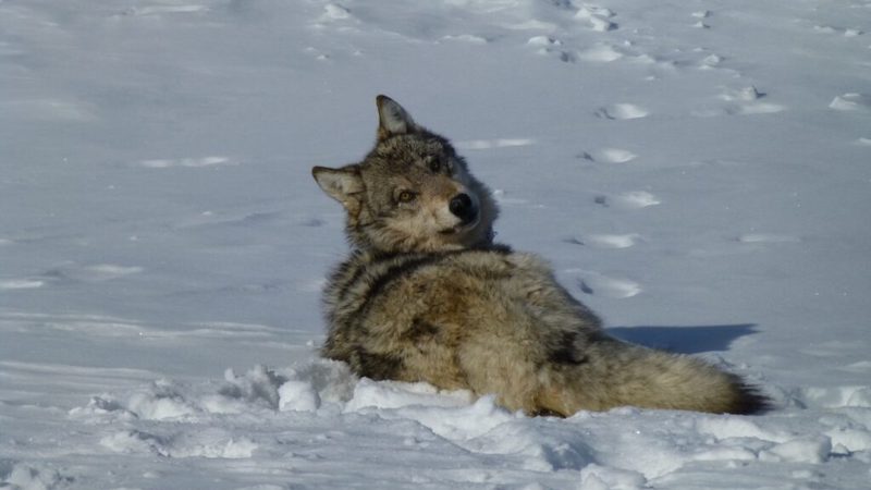 Sorry! Image not available at this time