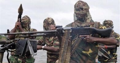 Members of Boko Haram terrorist organization. Photo Credit: Tasnim News Agency