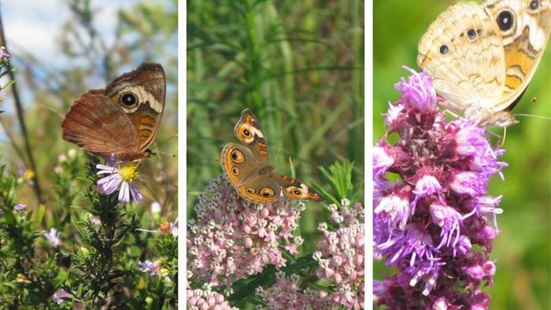 Sorry! Image not available at this time