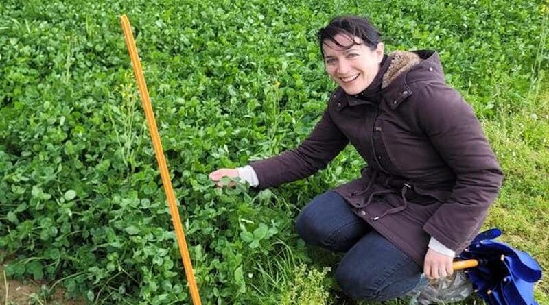 Professor Caroline Brophy at the site of a multispecies mixtures experiment at Agroscope, Switzerland. CREDIT: Caroline Brophy