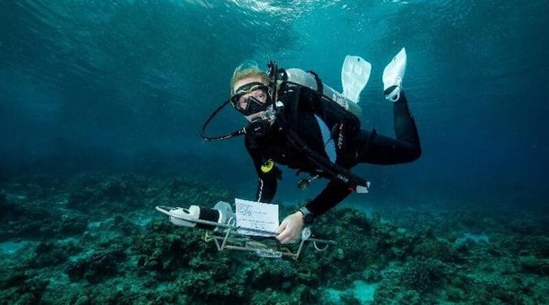 Dr. Herdís Steinsdóttir deploying an instrument near the reef in Eilat to record water currents, allowing her to keep track of the direction of sea currents. Photo credit: Jake Stout.