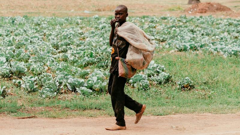 Sorry! Image not available at this time