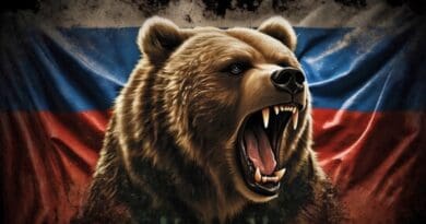 russia bear flag grok