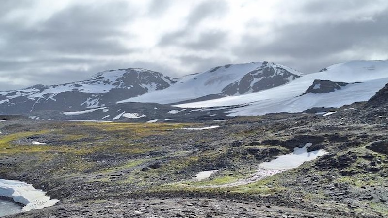 Scientists Reveal Our Best- And Worst-Case Scenarios For A Warming Antarctica