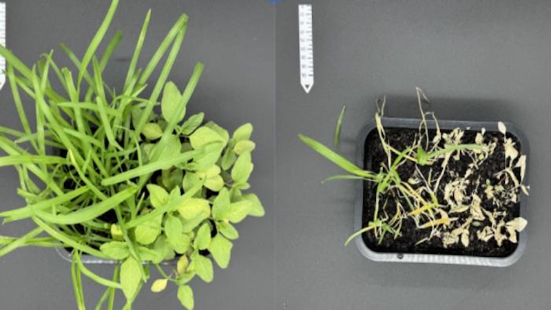 Sorry! Image not available at this time