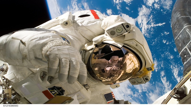 Reproduction In Space: An Environment Hostile To Human Biology