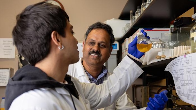 University Of Houston Scientist Helps Rethink Microbial Future Of Space Travel