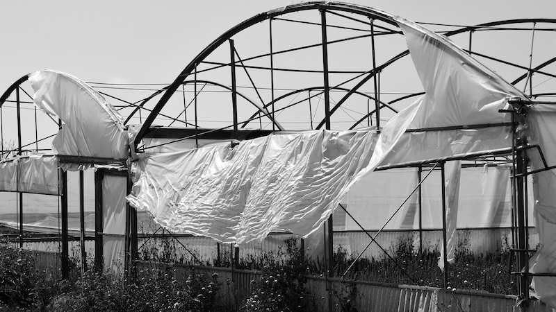 Turning Farm Waste Into Climate Solutions: Co-Pyrolysis Of Cotton Straw And Plastic Film Could Cut Millions Of Tons Of Emissions