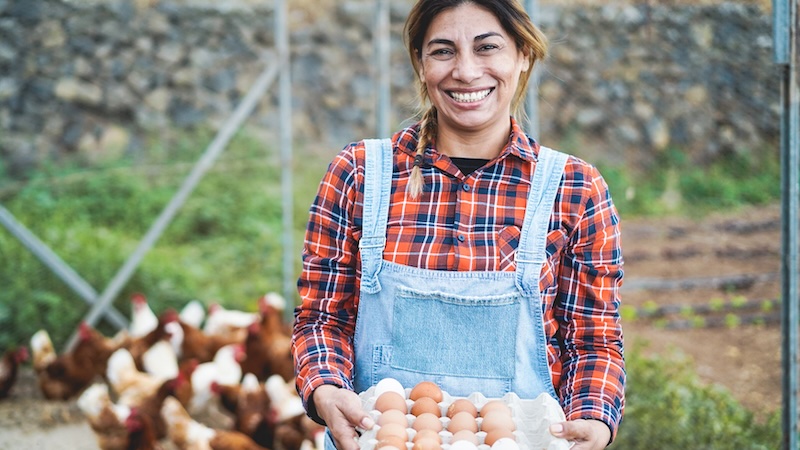 Psychosocial And Community Factors Are Strongly Linked To Diet Quality Among Rural Adults