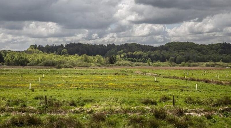 Nørreådalen near Viborg: Here Aarhus University researches low-lying soils and their potential in climate action. CREDIT: Lars Kruuse/AU Foto