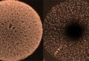 Gang Wu and collaborators developed hollow nanocarbon spheres containing an ordered radial nanochannel array to be used as supports in their new design for high-performance intermetallic nanoparticle fuel cell catalysts. CREDIT: Wu lab, Washington University in St. Louis